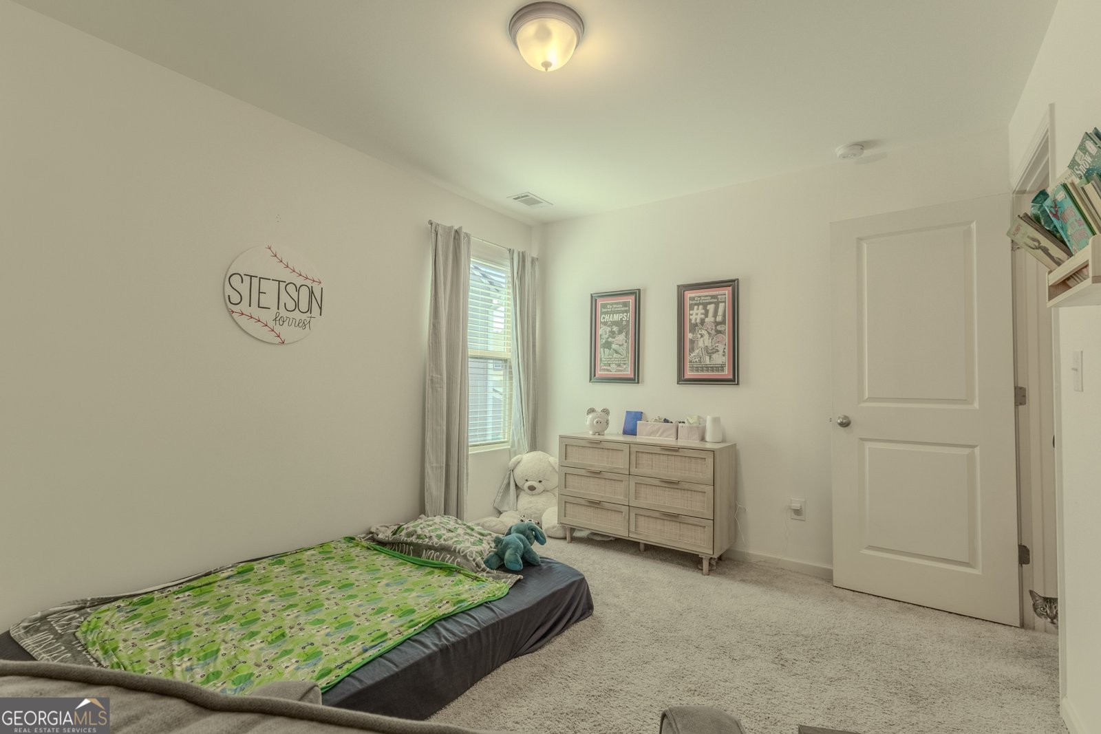 331 Merigold Way Pendergrass - 18