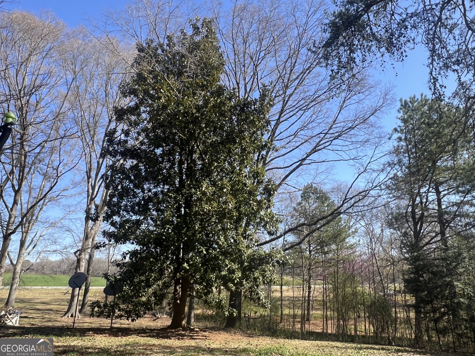 327 Old Muse Road Carrollton - 38