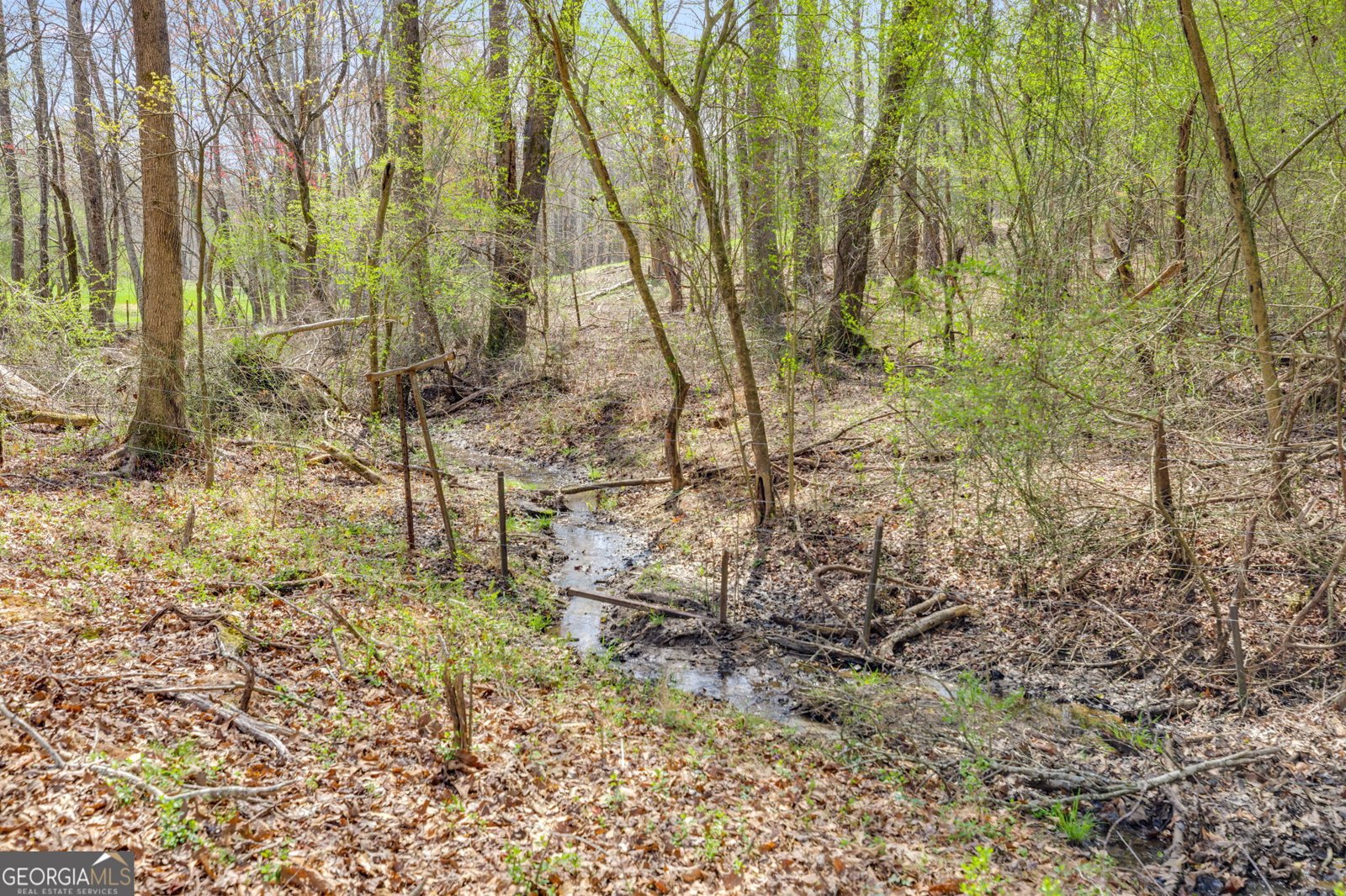 327 Old Muse Road Carrollton - 5
