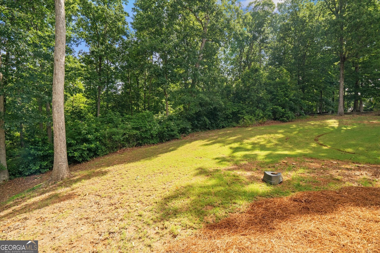 7940 Gable Drive Douglasville - 32