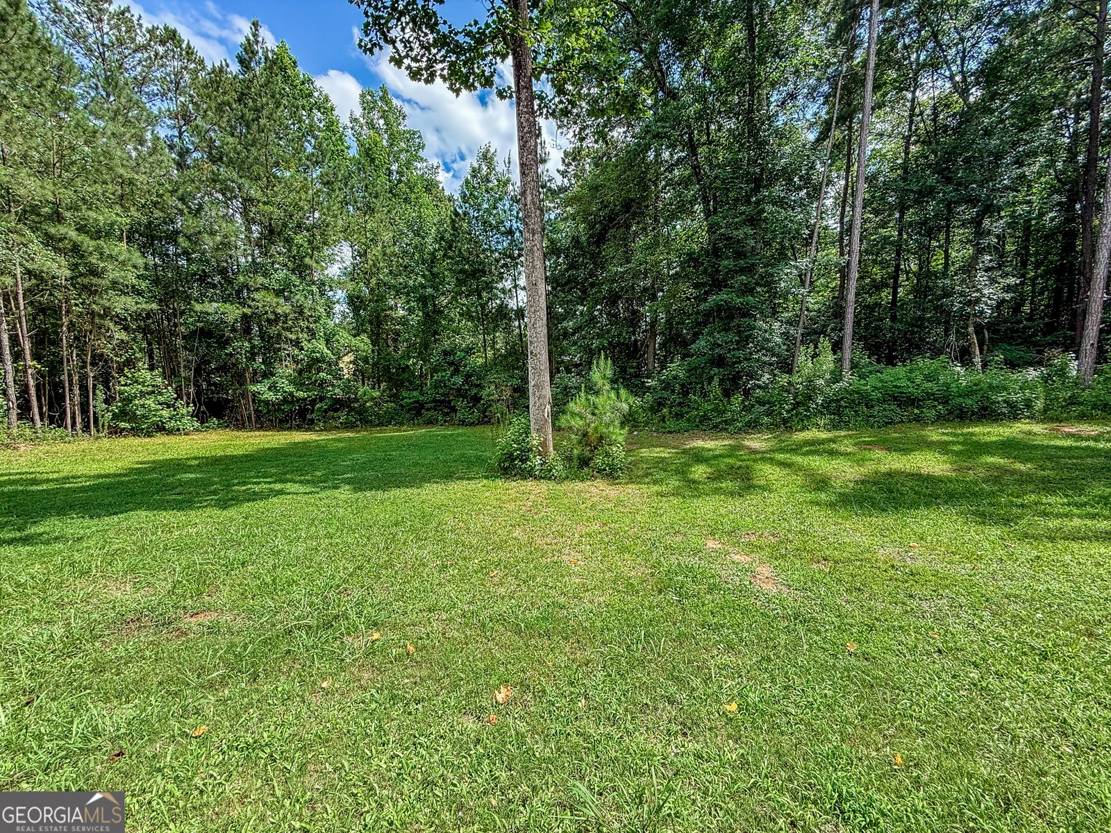 35 Paddle Boat Cove Senoia - 54