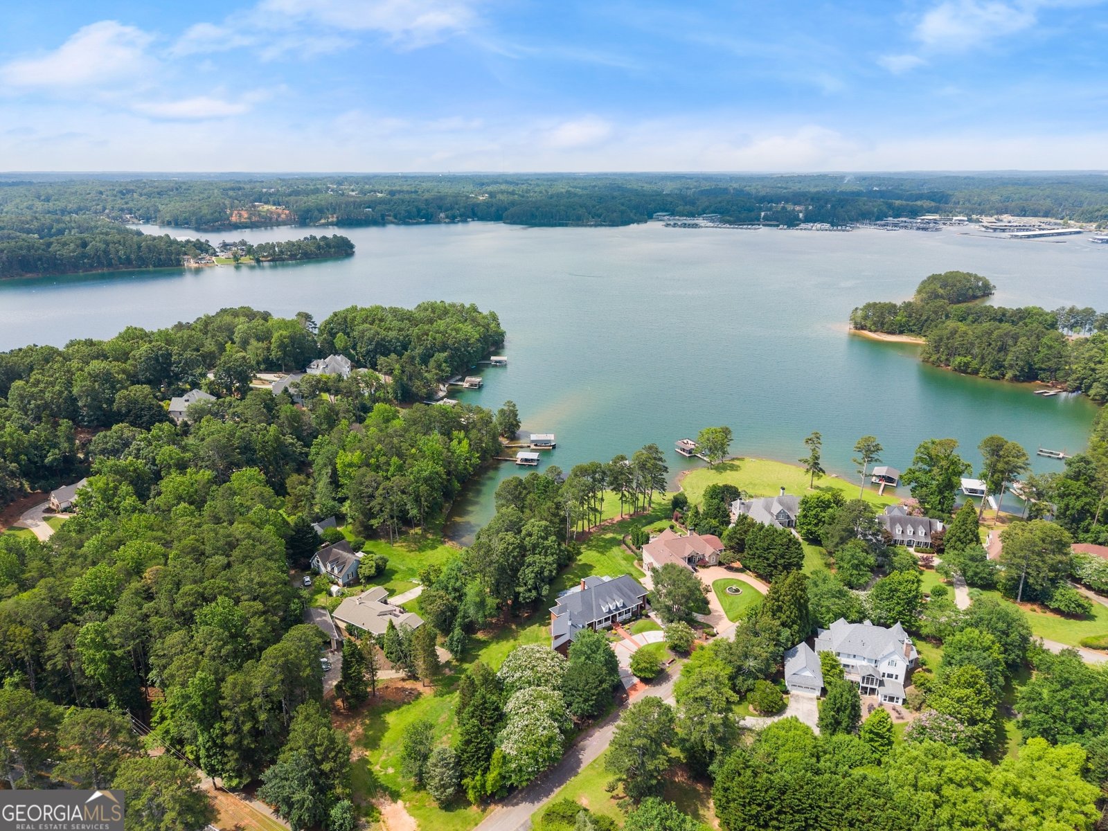 6707 Summer Crest Court Flowery Branch - 101