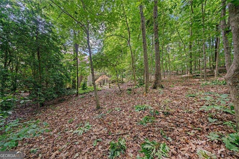 35 Harbor Drive Dawsonville - 55