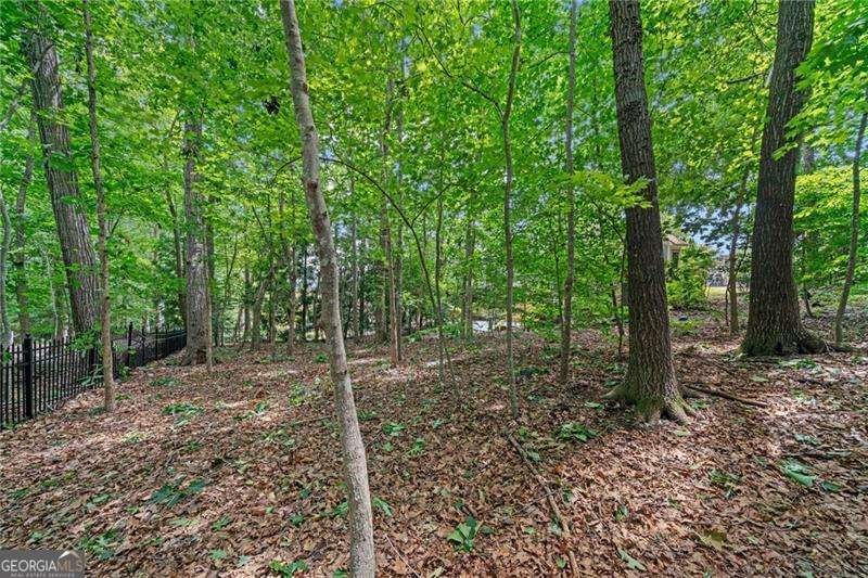 35 Harbor Drive Dawsonville - 56