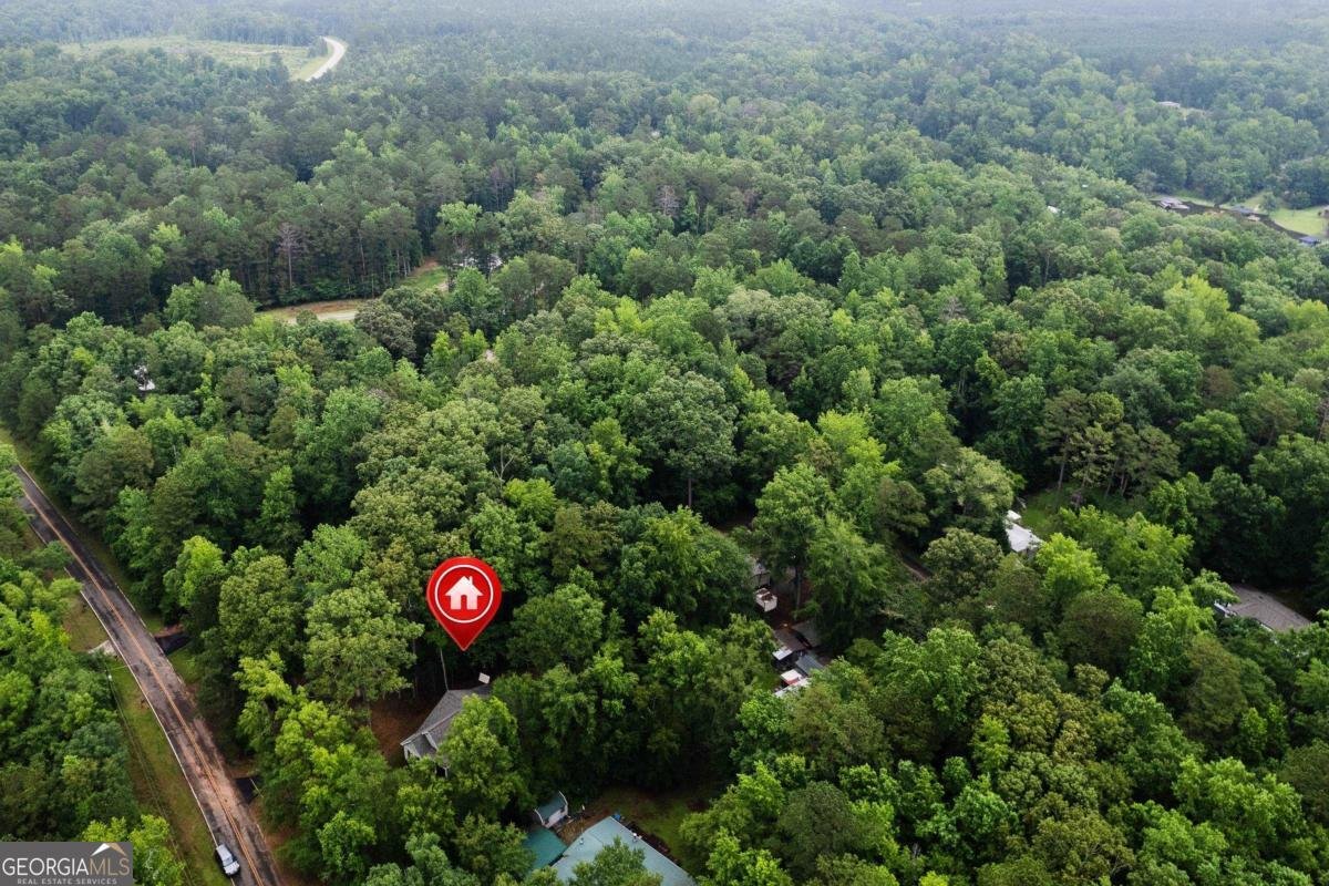 172 Southshore Road Eatonton - 42