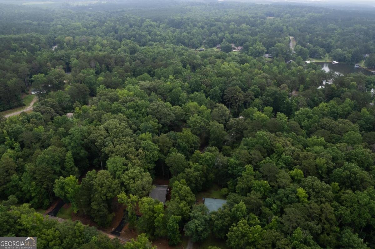 172 Southshore Road Eatonton - 45