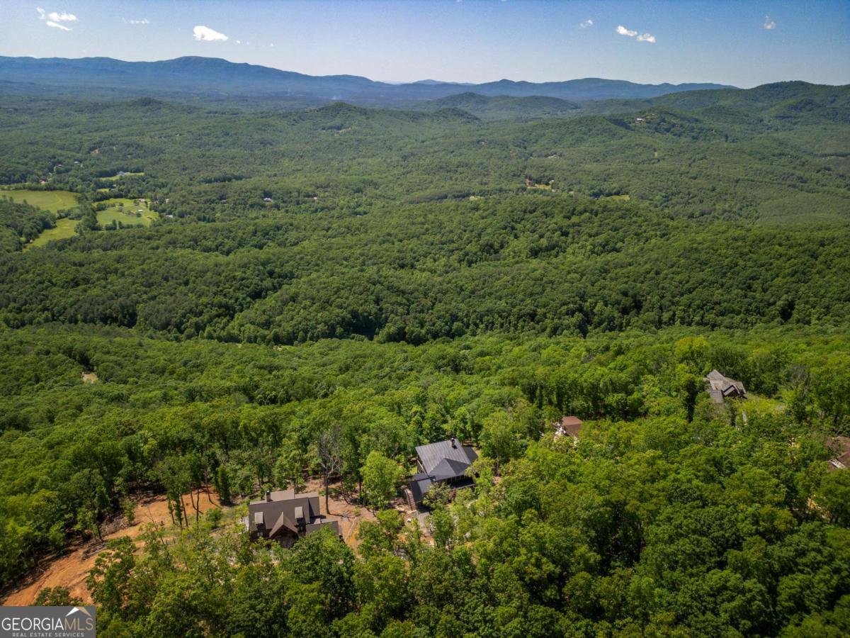 126 Wawayanda Drive Mineral Bluff - 5