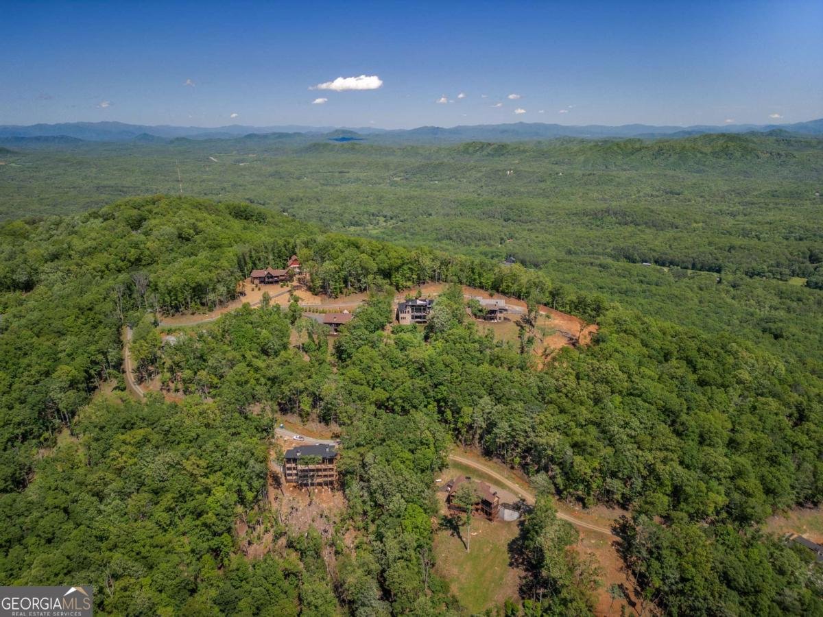 126 Wawayanda Drive Mineral Bluff - 6