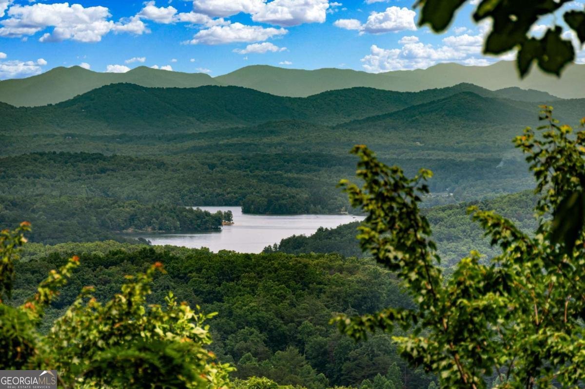 820 Sweetbay Drive Blairsville - 4