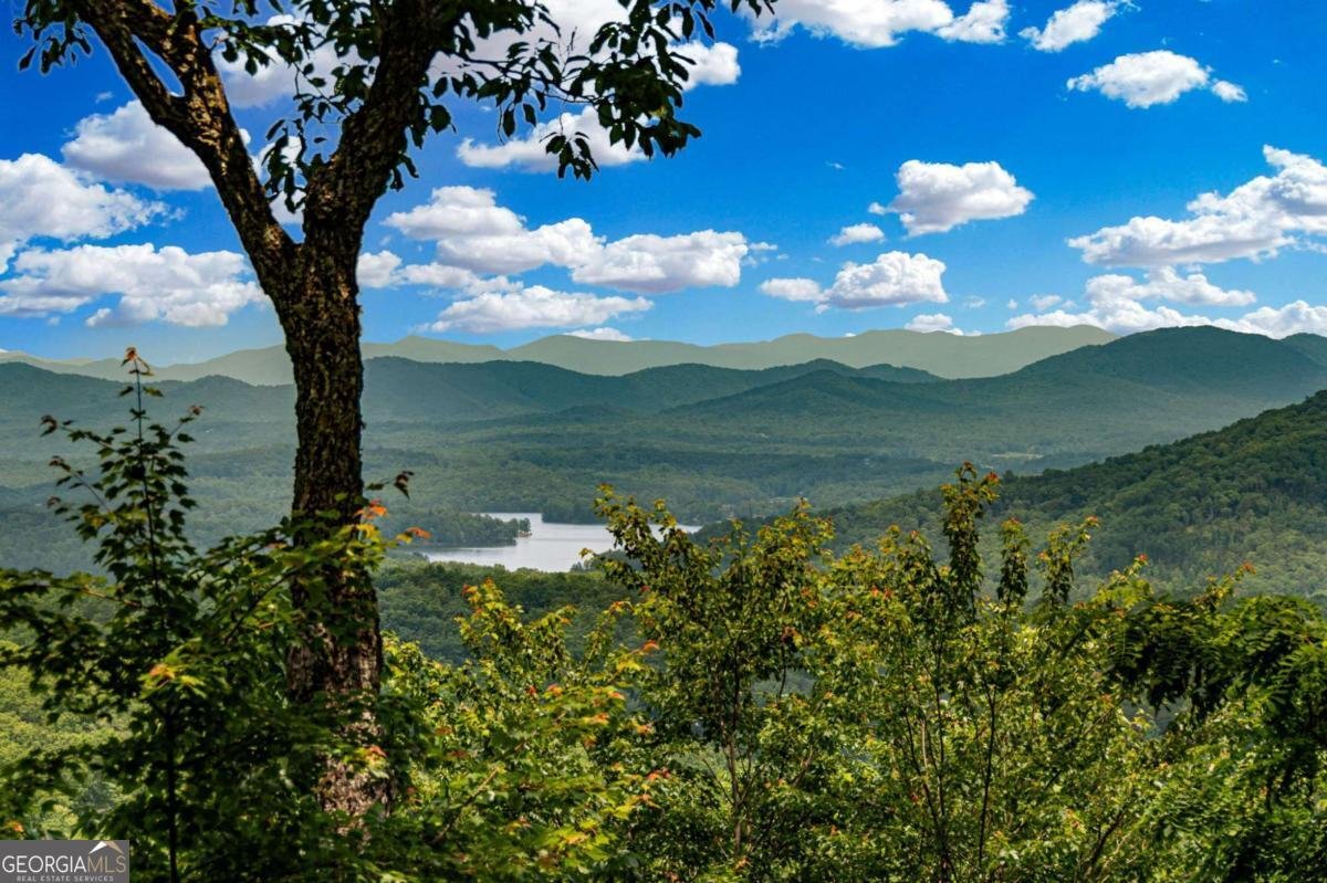 820 Sweetbay Drive Blairsville - 5