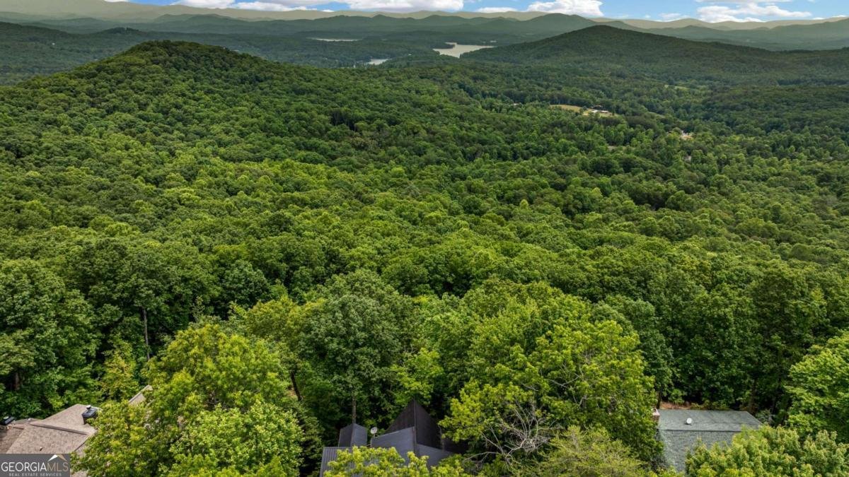 820 Sweetbay Drive Blairsville - 65