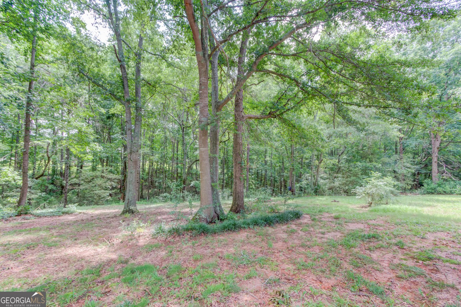 1406 Marshview Court Hoschton - 35