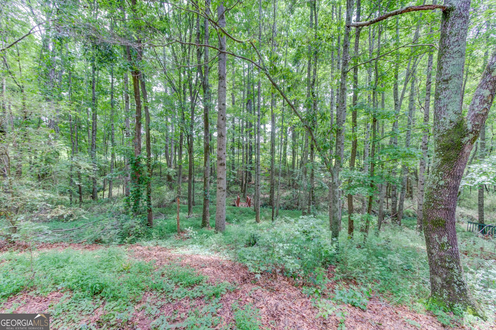 1406 Marshview Court Hoschton - 38