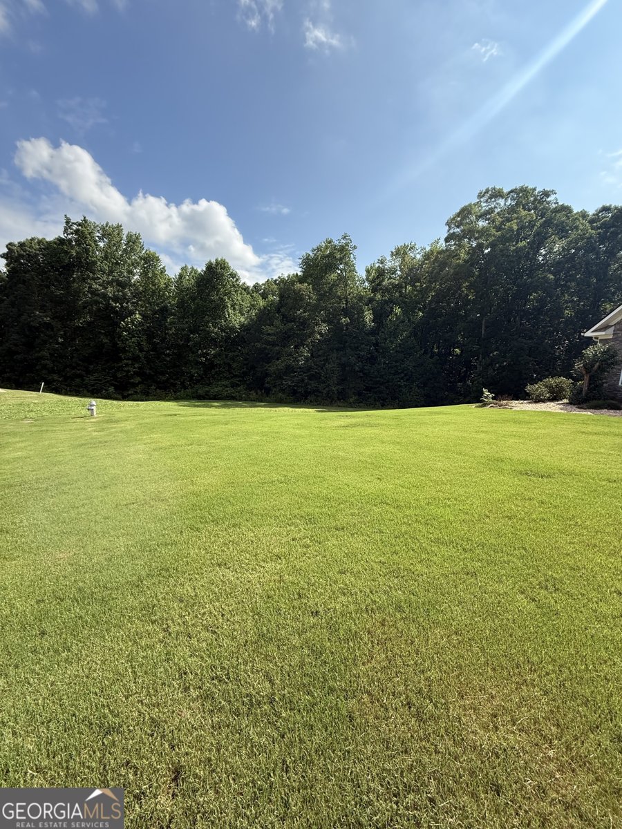 1422 New Holland Circle McDonough - 2