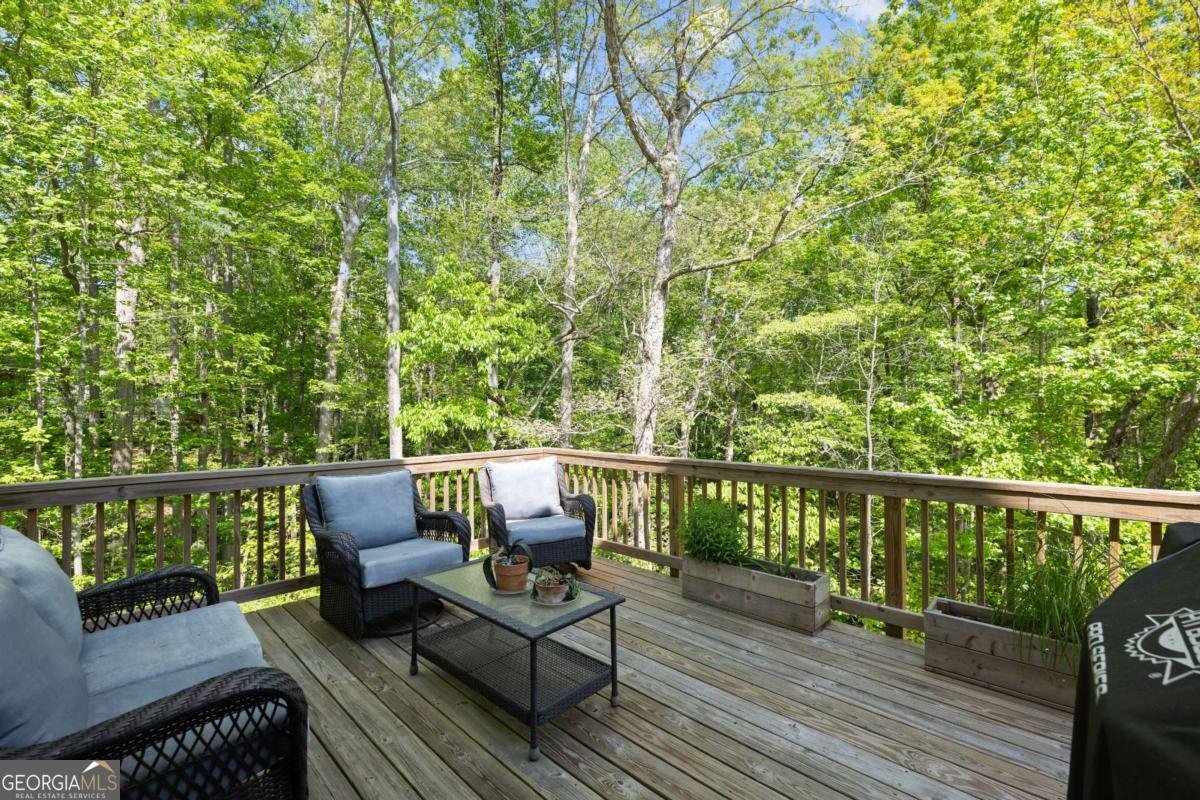 4525 Chestatee Heights Road Gainesville - 40