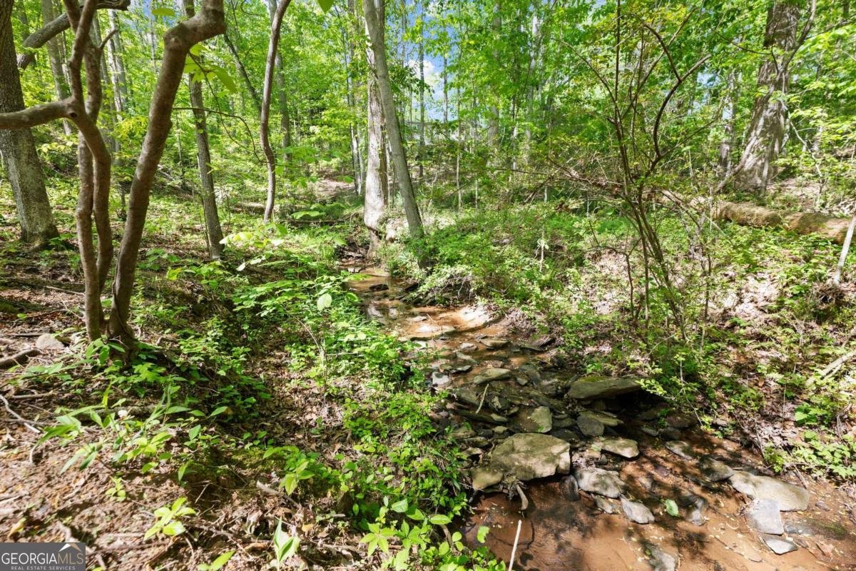 4525 Chestatee Heights Road Gainesville - 48