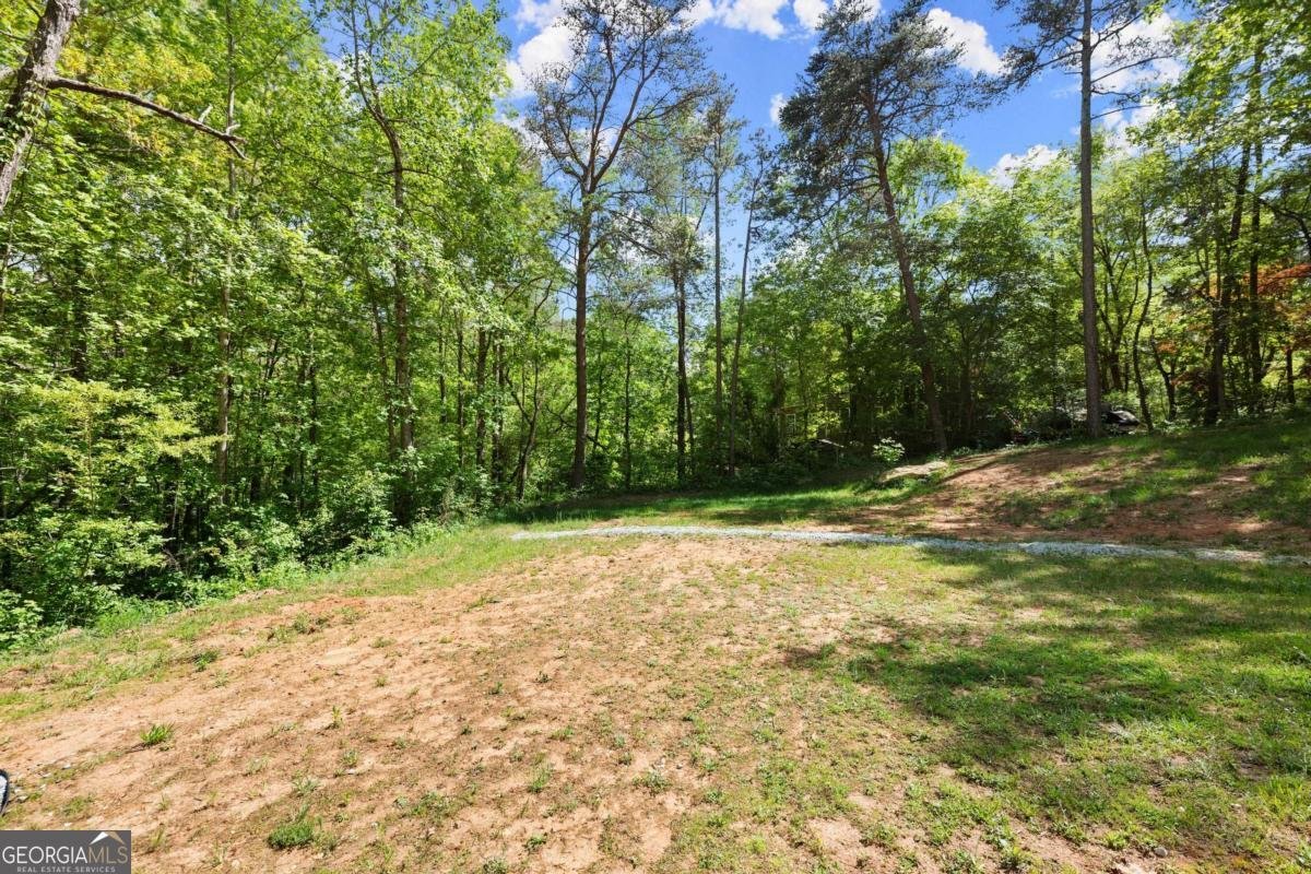 4525 Chestatee Heights Road Gainesville - 49
