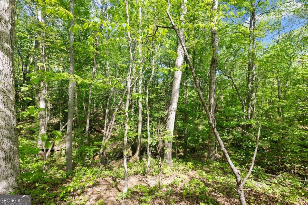 4525 Chestatee Heights Road Gainesville - 50