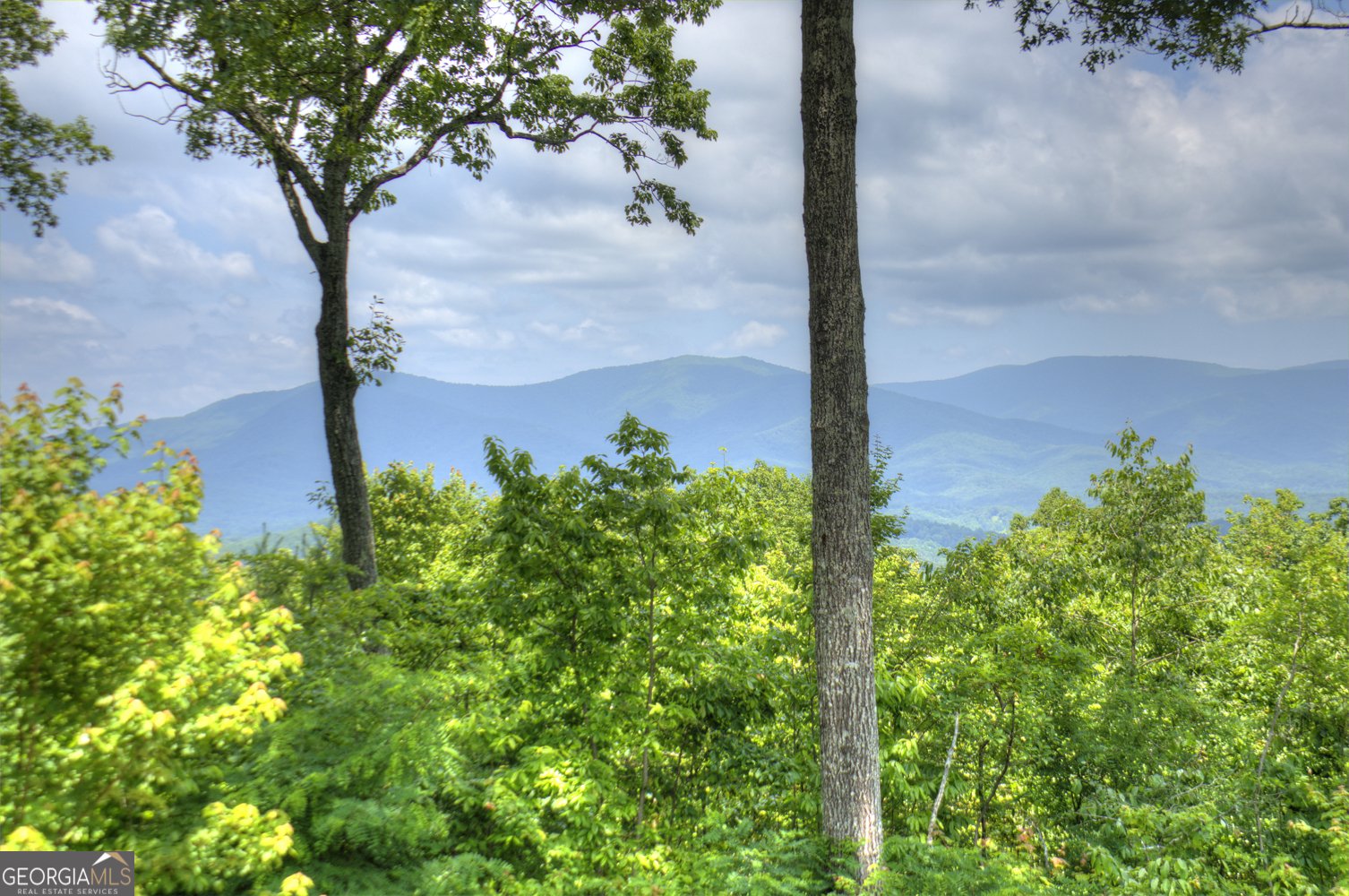 312 Mollie Mountain Trail Ellijay - 15