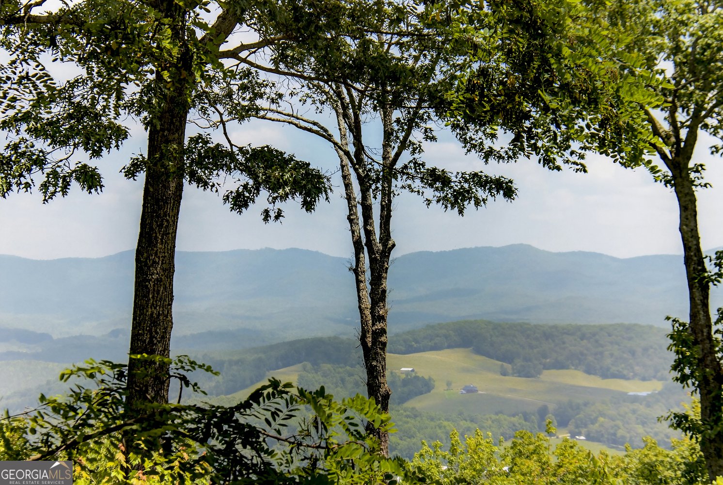 312 Mollie Mountain Trail Ellijay - 40