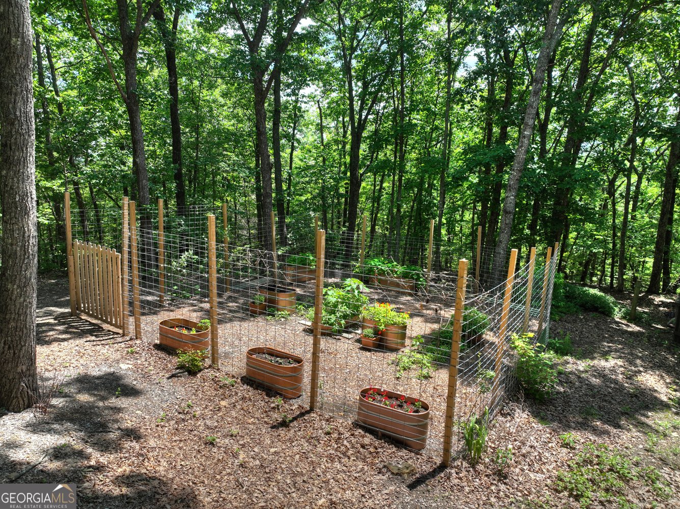 312 Mollie Mountain Trail Ellijay - 51