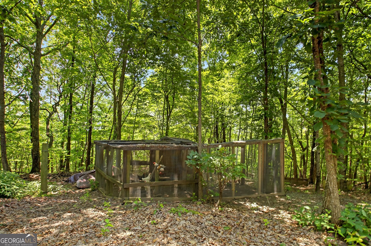 312 Mollie Mountain Trail Ellijay - 52