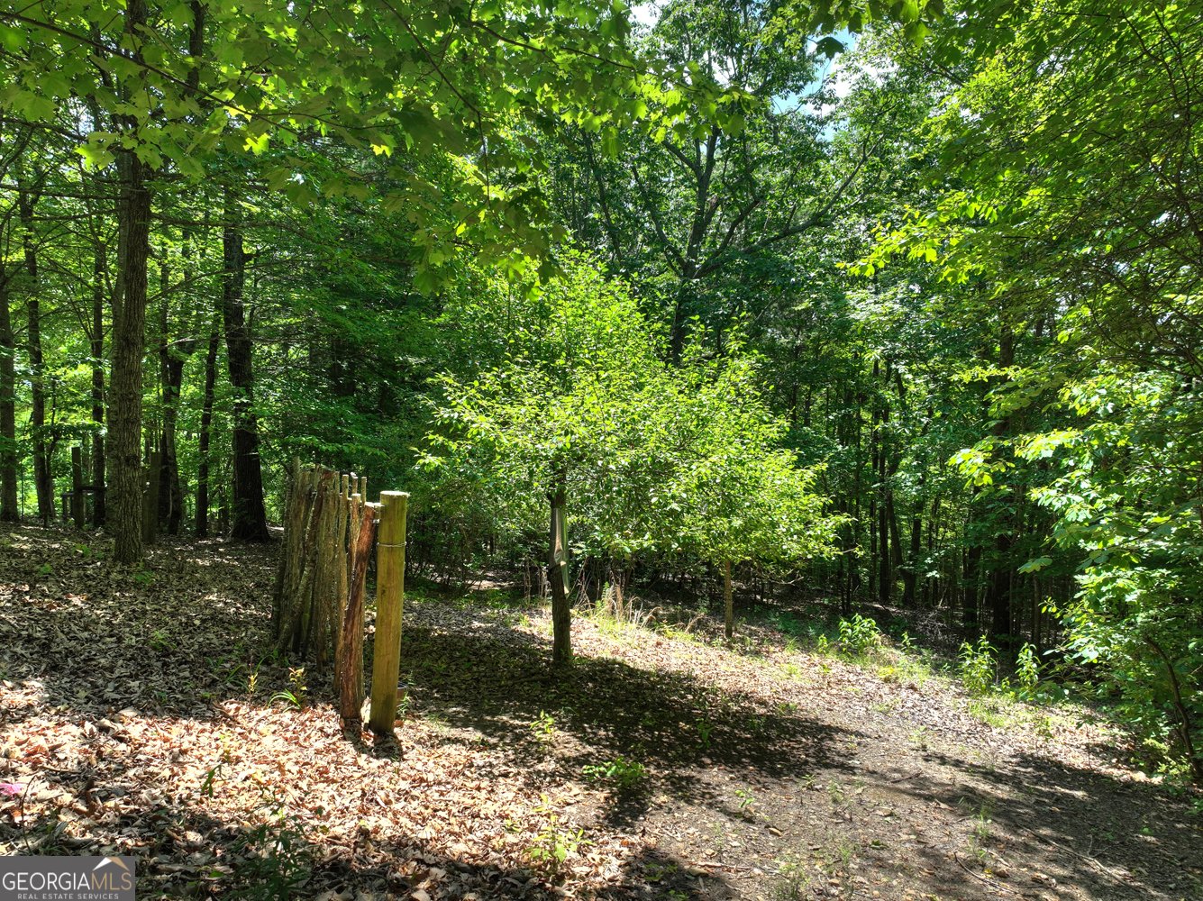 312 Mollie Mountain Trail Ellijay - 53