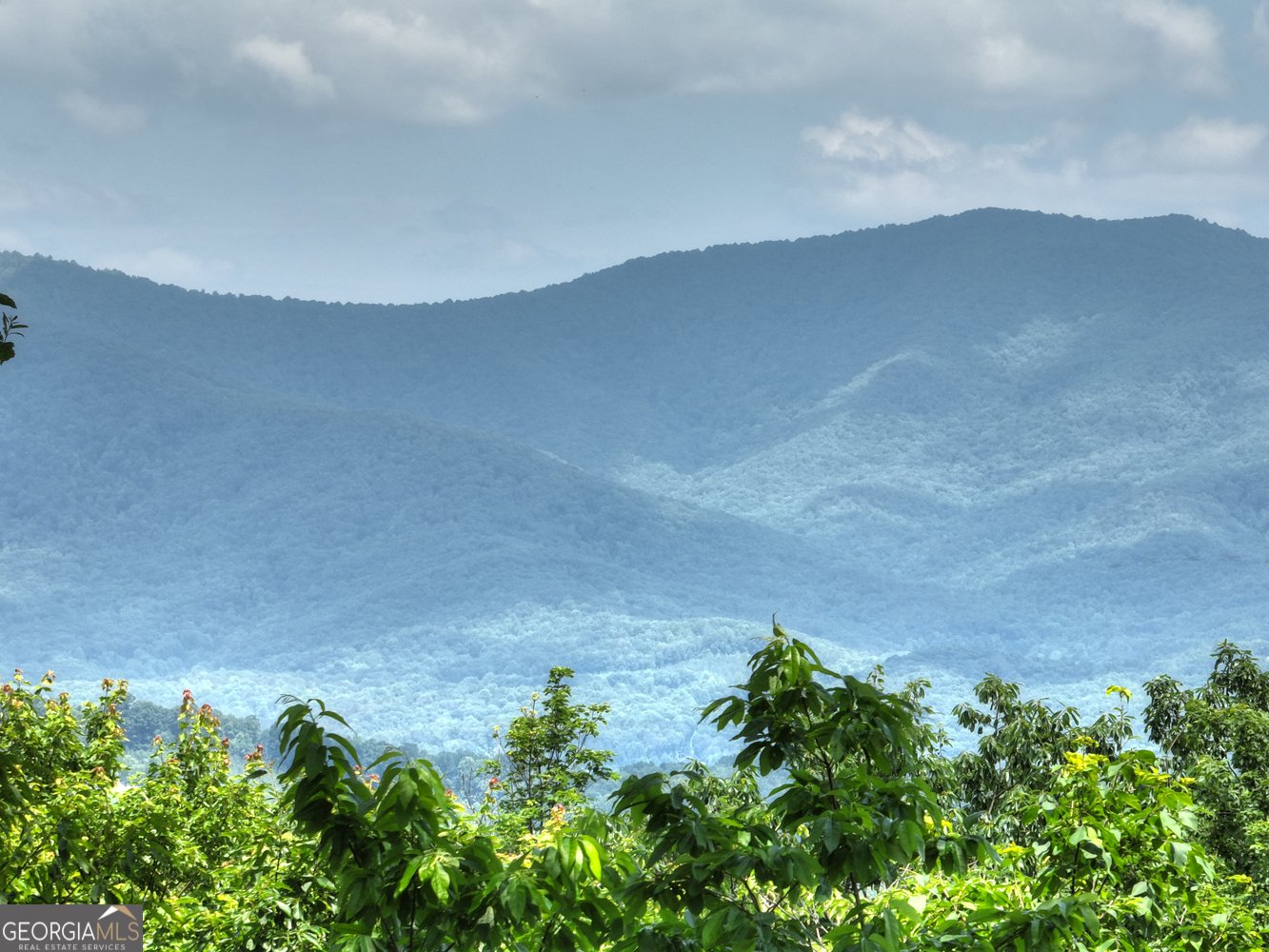 312 Mollie Mountain Trail Ellijay - 63