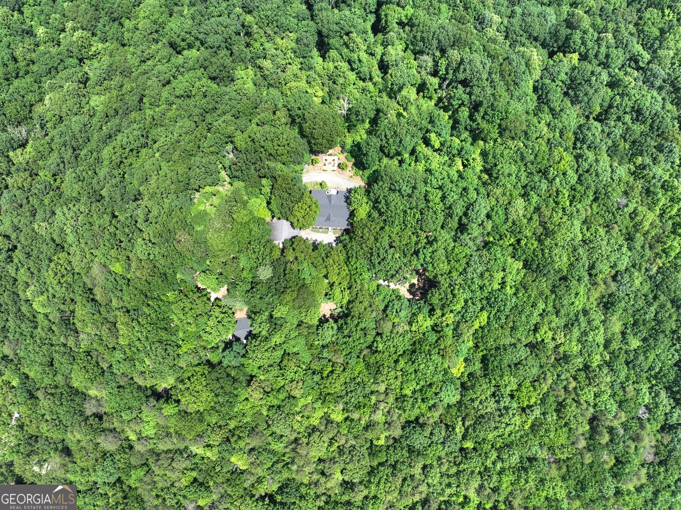312 Mollie Mountain Trail Ellijay - 69