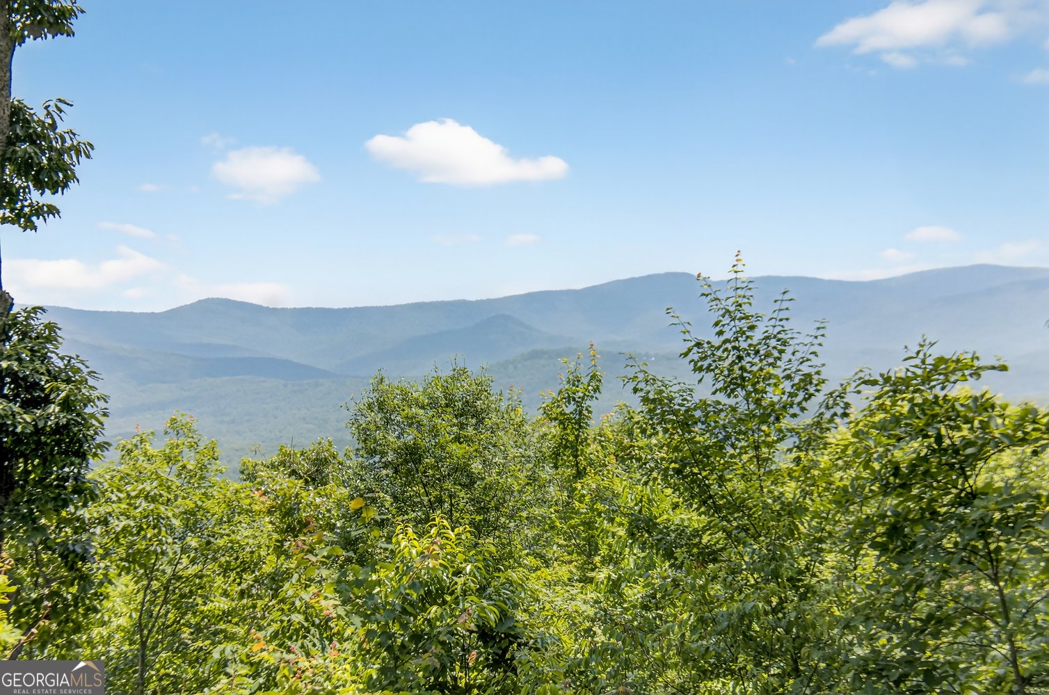 312 Mollie Mountain Trail Ellijay - 7