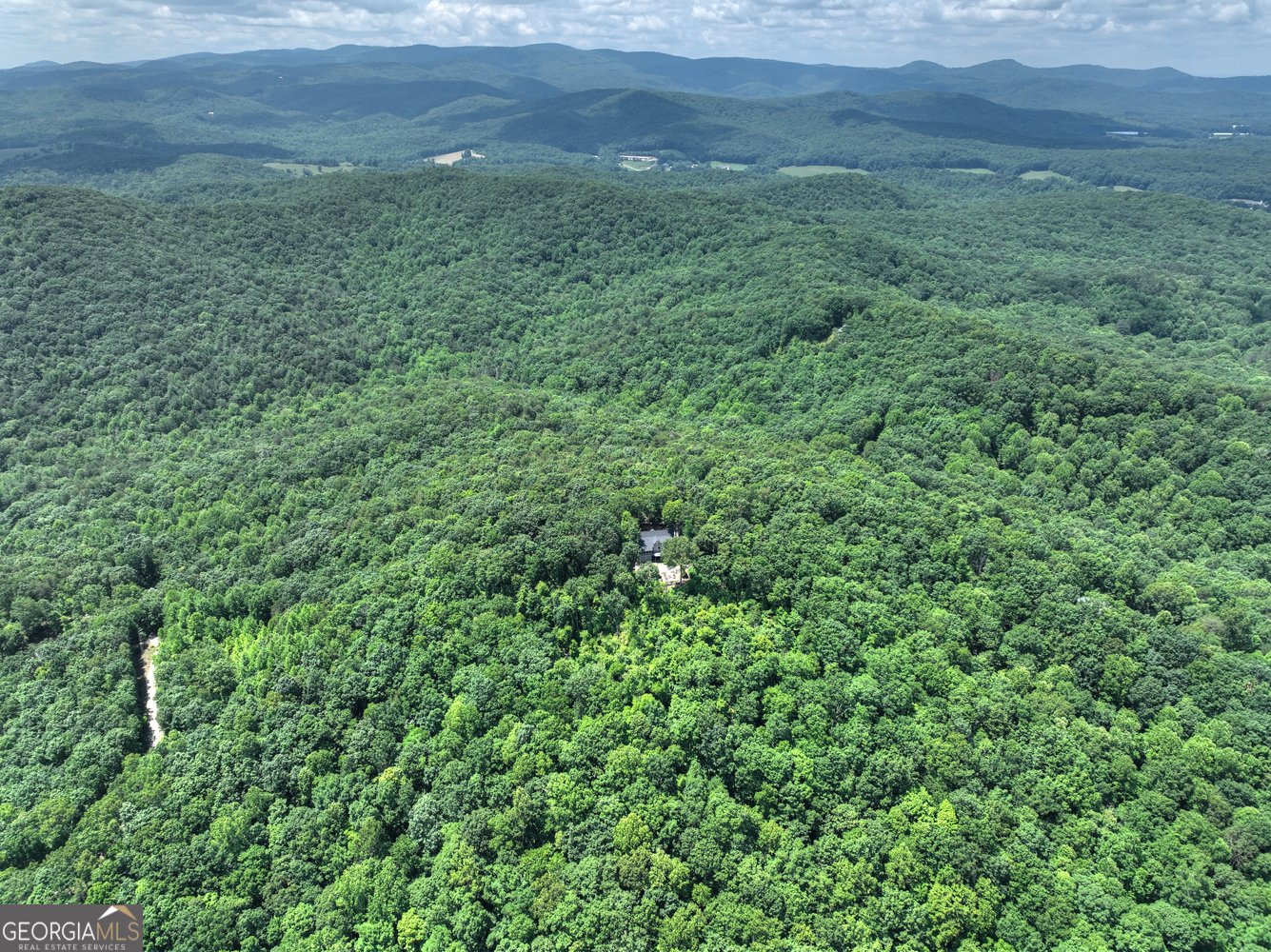 312 Mollie Mountain Trail Ellijay - 70