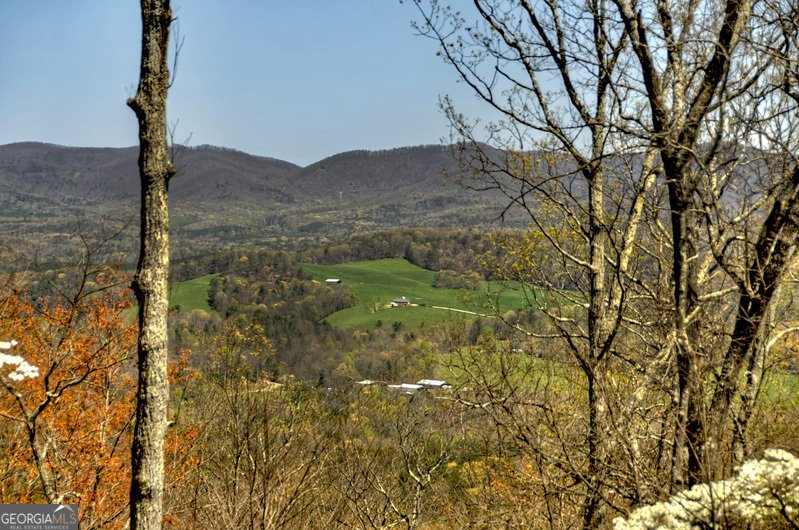 312 Mollie Mountain Trail Ellijay - 74
