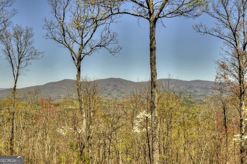 312 Mollie Mountain Trail Ellijay - 75