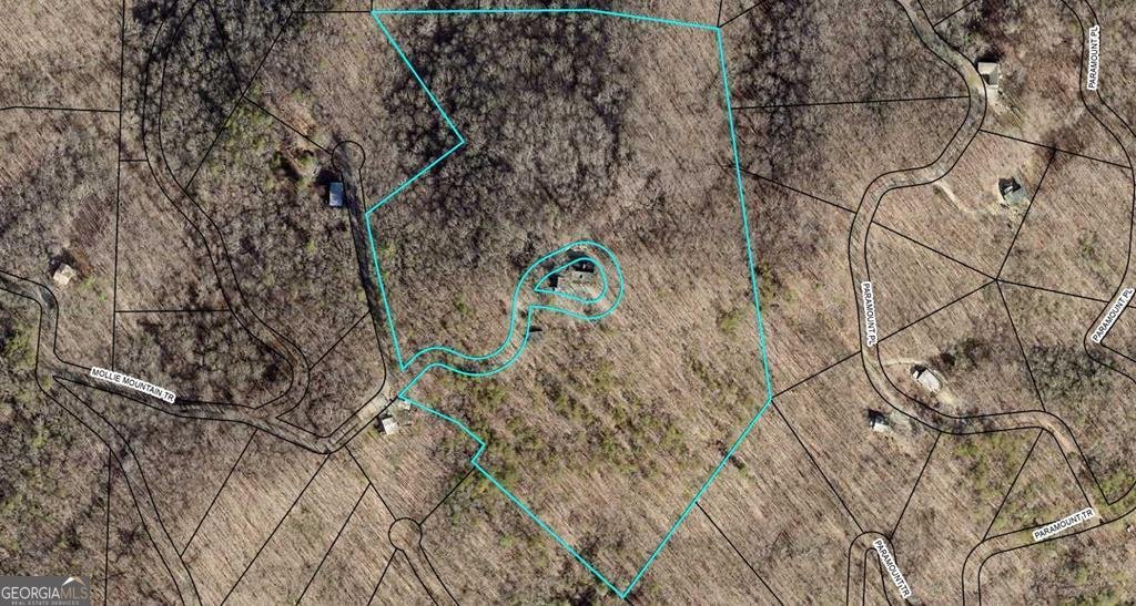 312 Mollie Mountain Trail Ellijay - 76