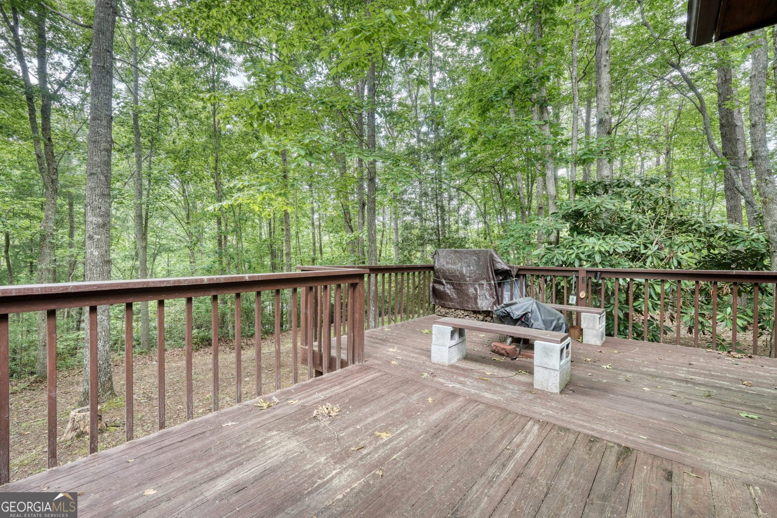 65 Dallas Hill Road Blairsville - 30