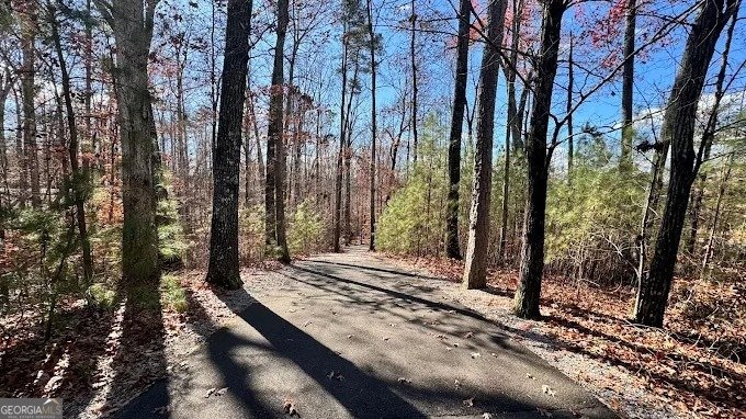 1621 Wellborn Walk Suwanee - 40