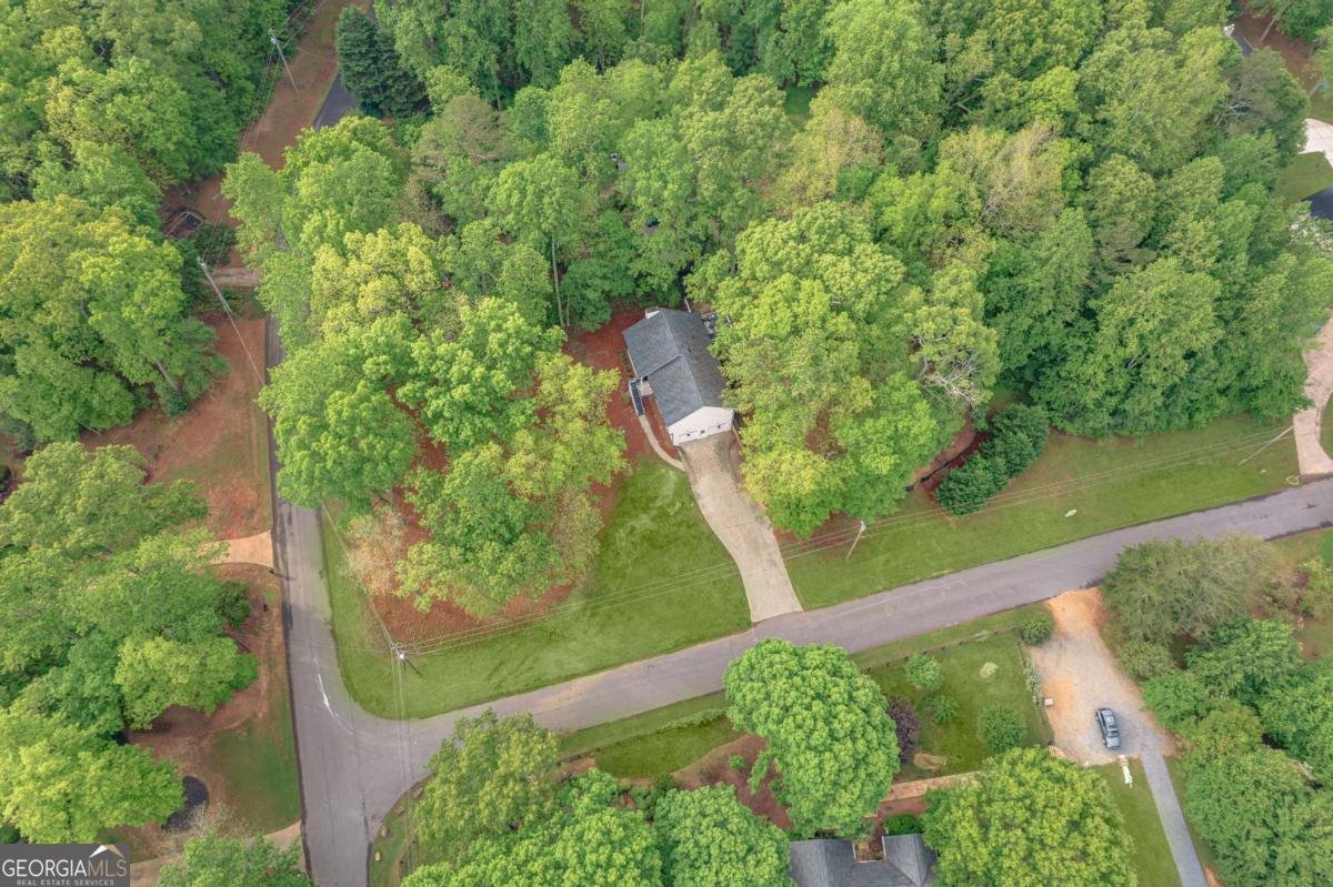 607 Hickory Creek Lane Woodstock - 45