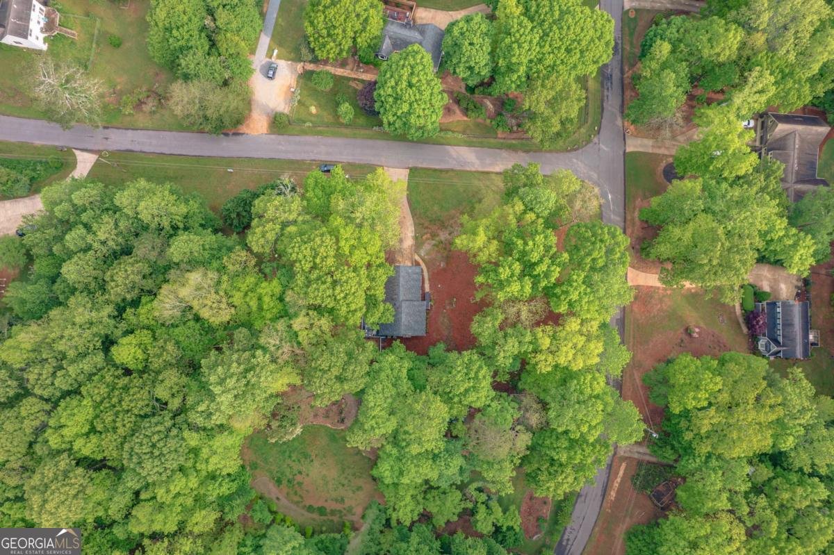 607 Hickory Creek Lane Woodstock - 46