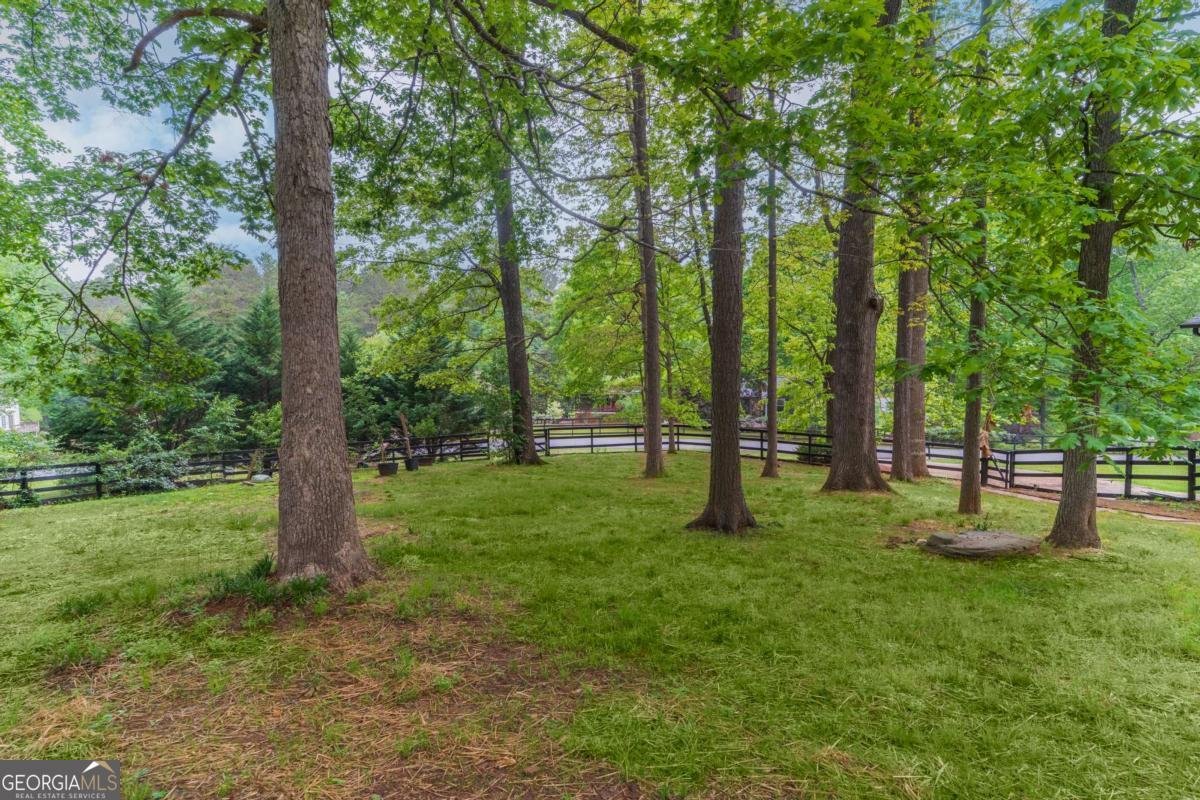 607 Hickory Creek Lane Woodstock - 5