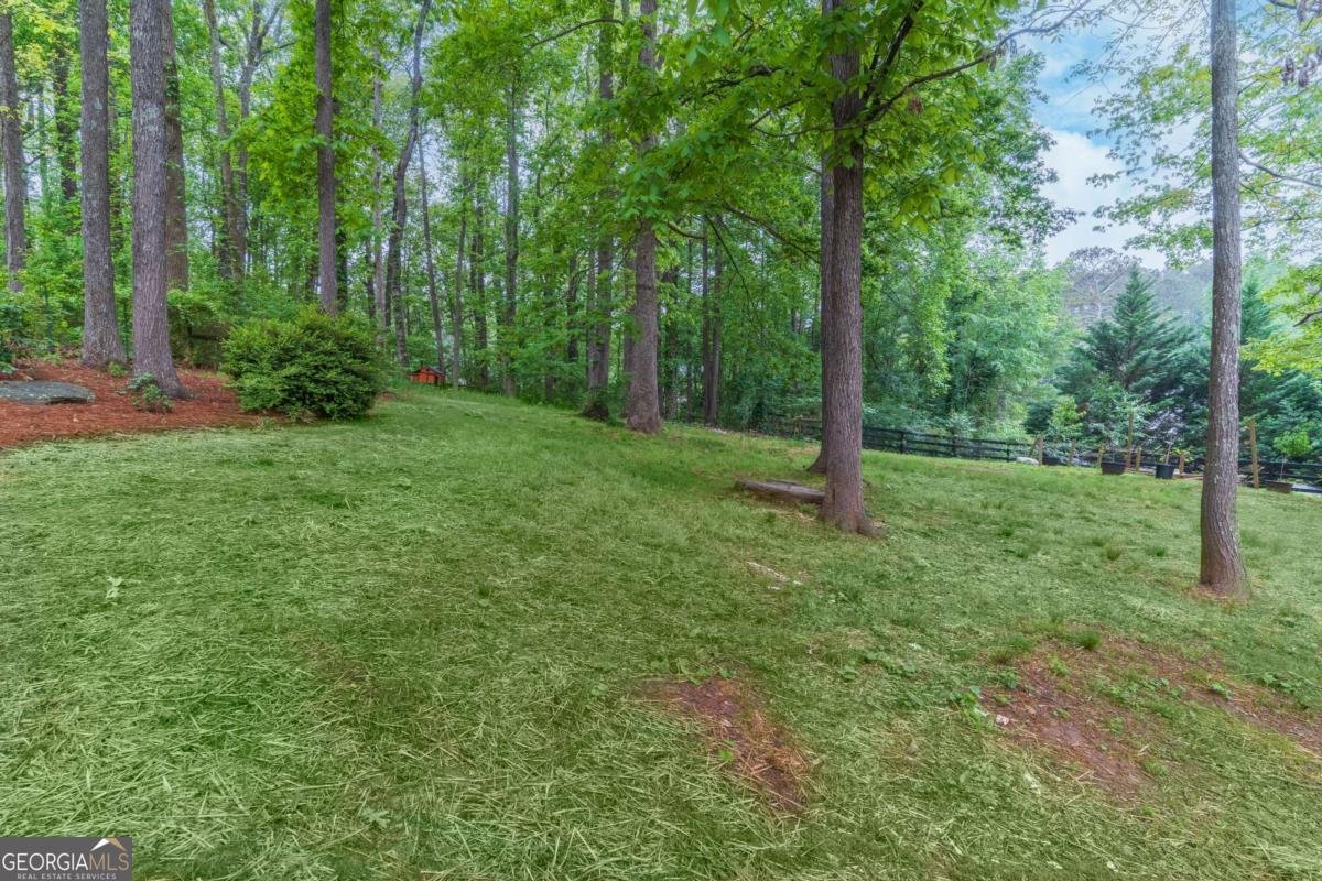 607 Hickory Creek Lane Woodstock - 51