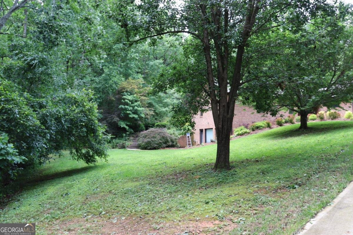 459 River Bend Road Dawsonville - 50