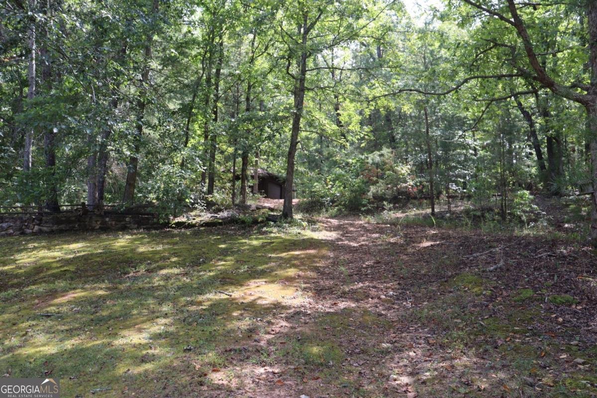 459 River Bend Road Dawsonville - 9