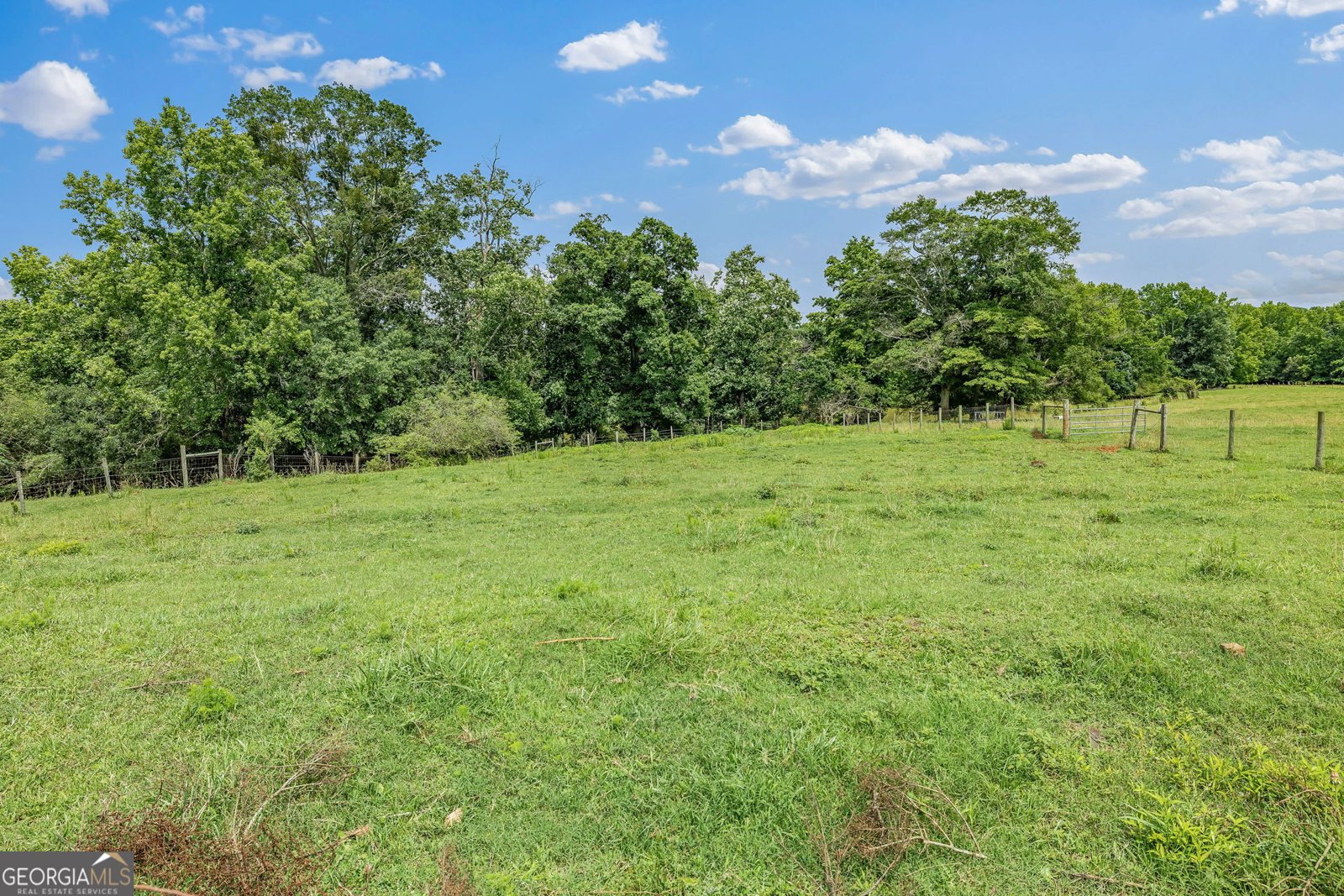 107 Line Creek Road Nicholson - 32