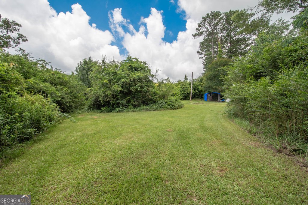 6110 GA Highway 34 Franklin - 21