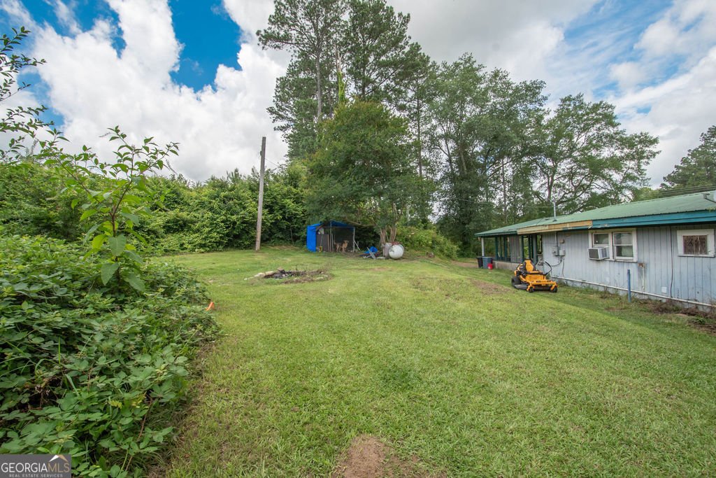 6110 GA Highway 34 Franklin - 23