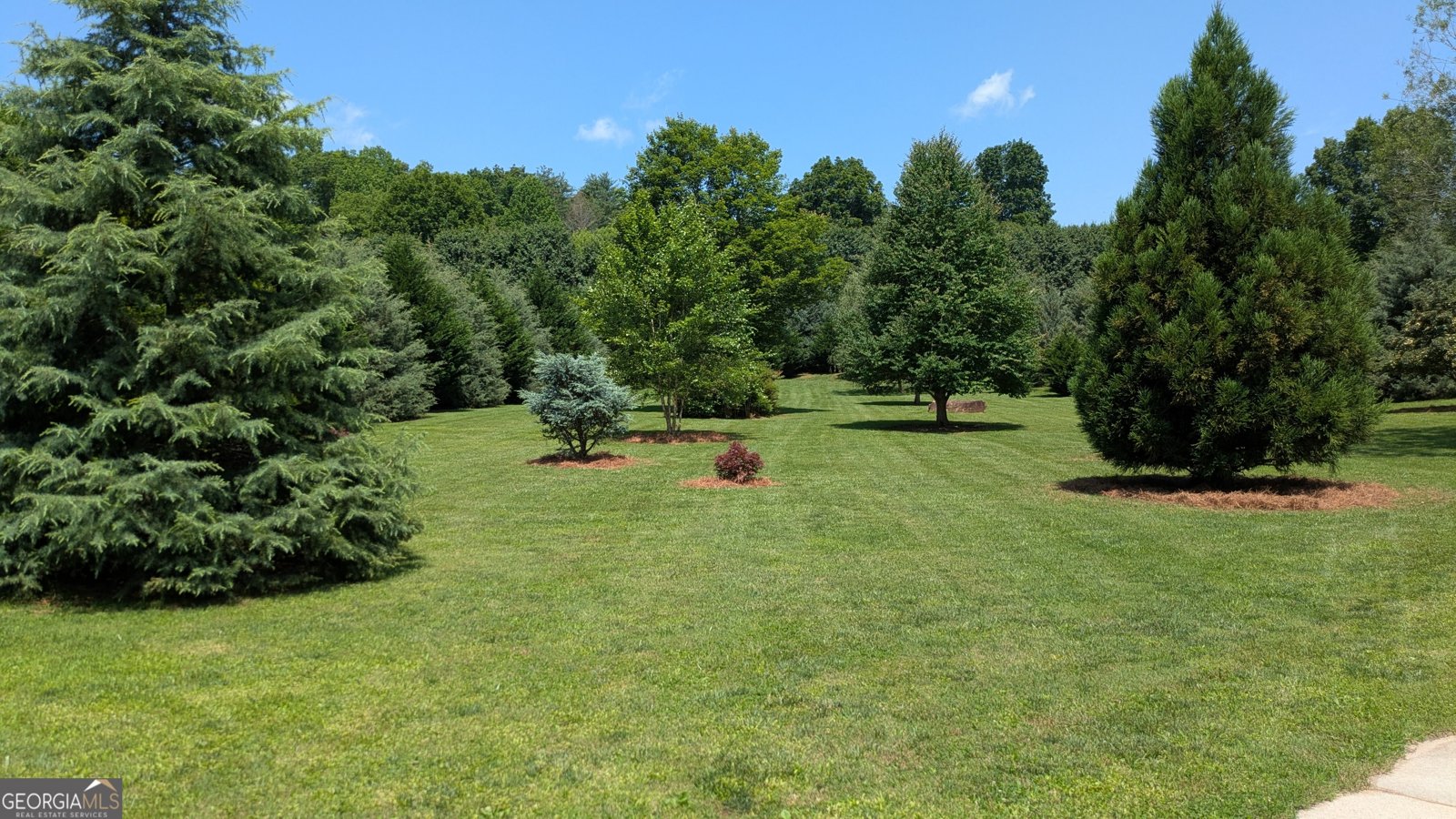 198 Stonecreek Drive Franklin - 3