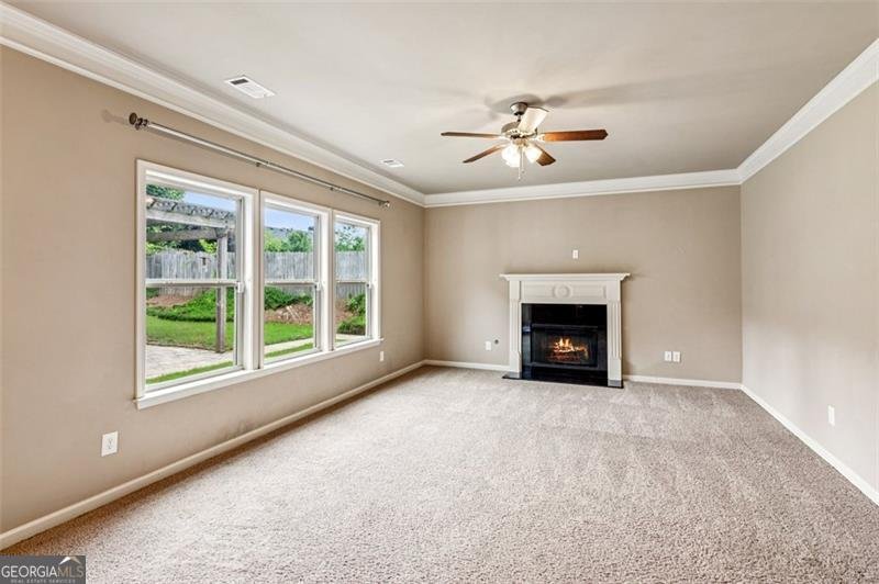2428 Fisk Falls Drive Braselton - 11