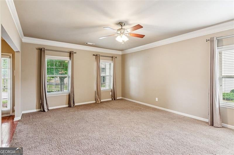 2428 Fisk Falls Drive Braselton - 14