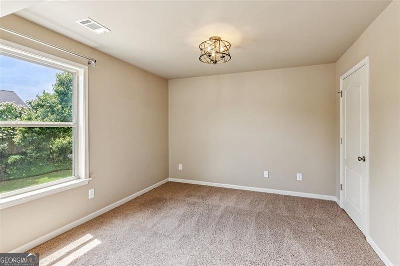2428 Fisk Falls Drive Braselton - 26