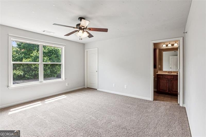 2428 Fisk Falls Drive Braselton - 30